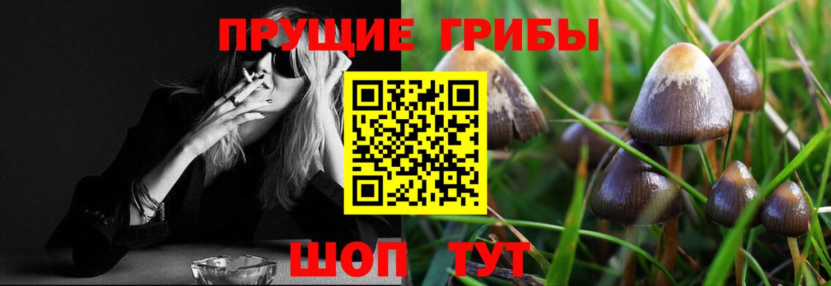 Псилоцибиновые грибы ЛСД  Псилоцибиновые грибы MAGIC MUSHROOMS  Губаха  Вход с VPN 